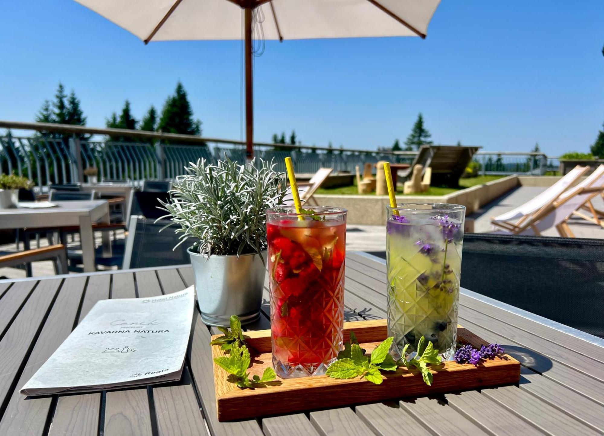 Hotel Natura Rogla 외부 사진